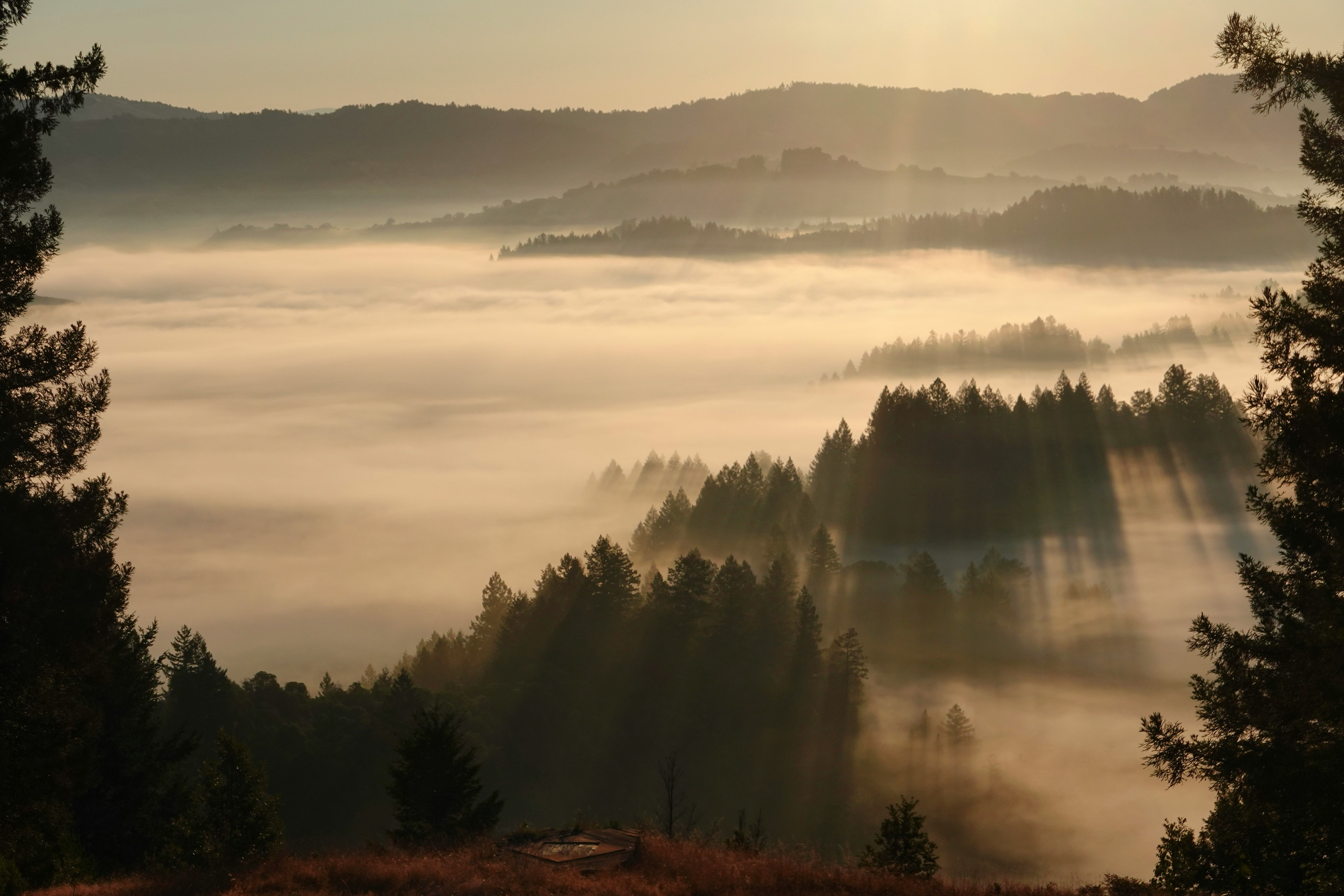 Supply chain analysis